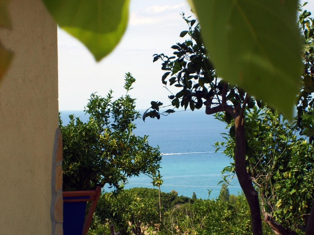 Goddess Yard Villa Tropea Eksteriør bilde